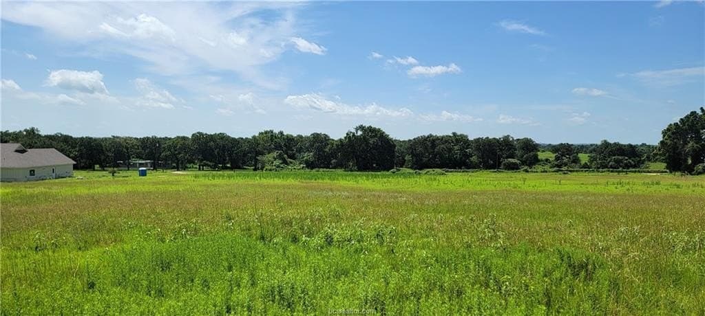 2.17 acres in Robertson County - photo 8