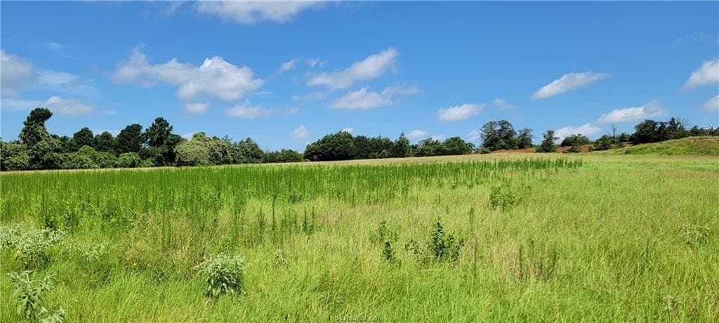 2.17 acres in Robertson County