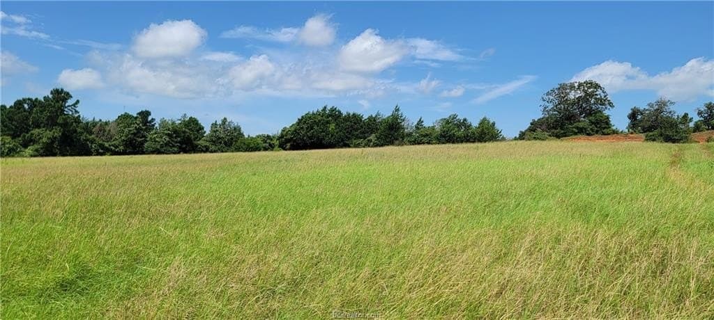 2.17 acres in Robertson County - photo 10