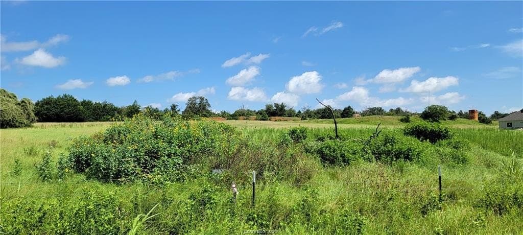 2.17 acres in Robertson County - photo 6