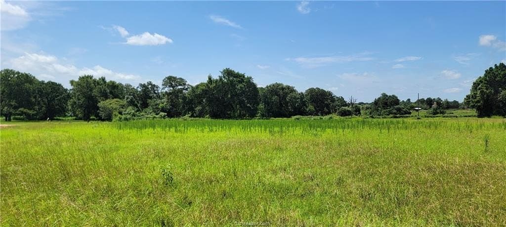 2.17 acres in Robertson County - photo 9