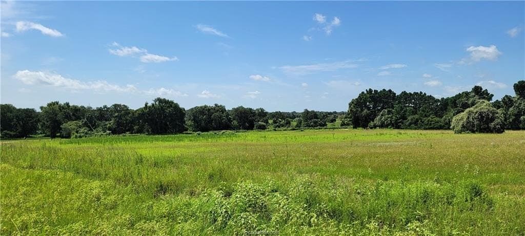 2.17 acres in Robertson County - photo 7