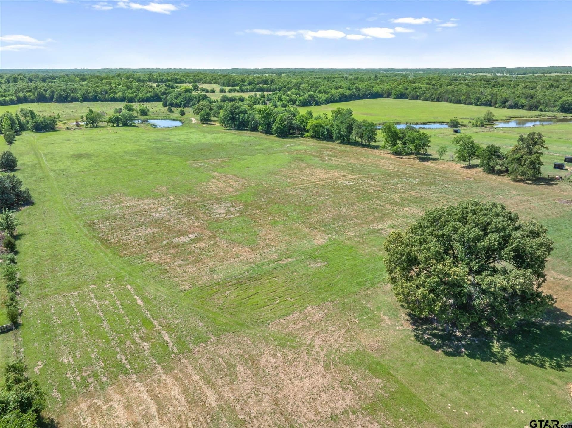 39.84 acres in Van Zandt County gallery image 3