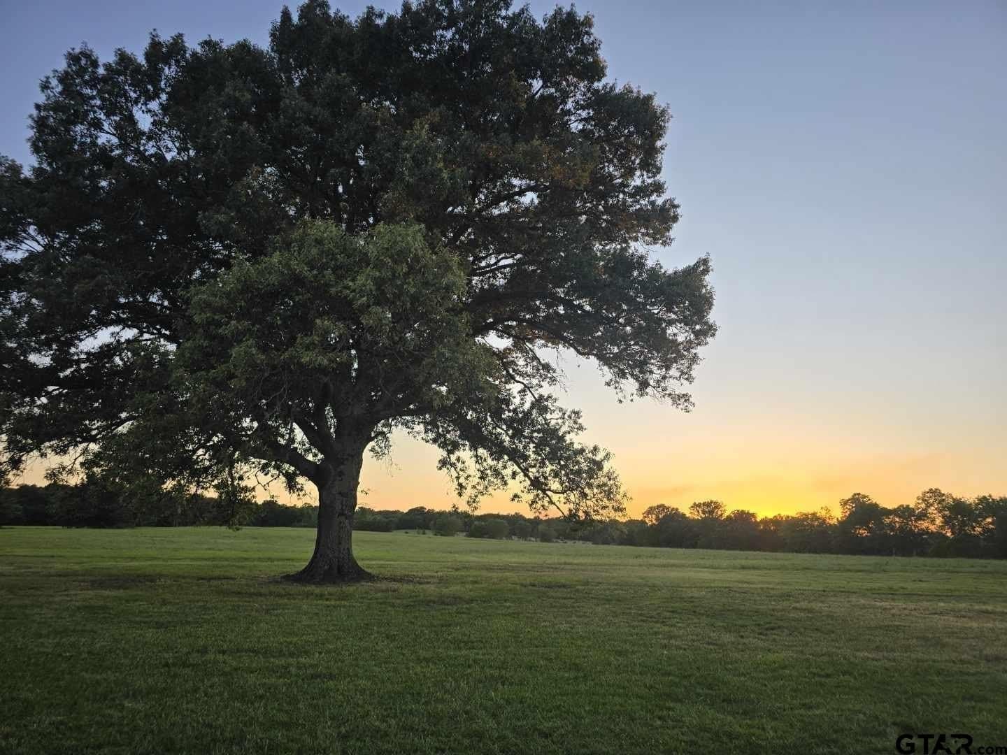 39.84 acres in Van Zandt County