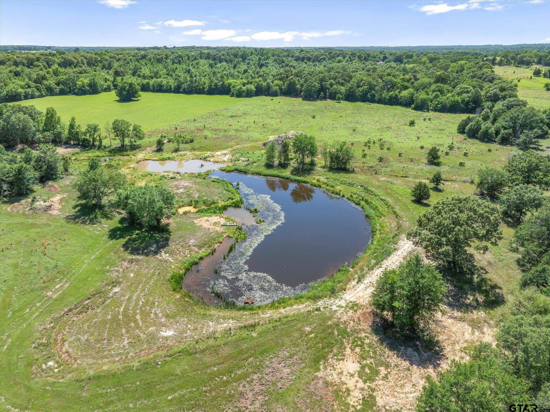 39.84 acres in Van Zandt County gallery image 4
