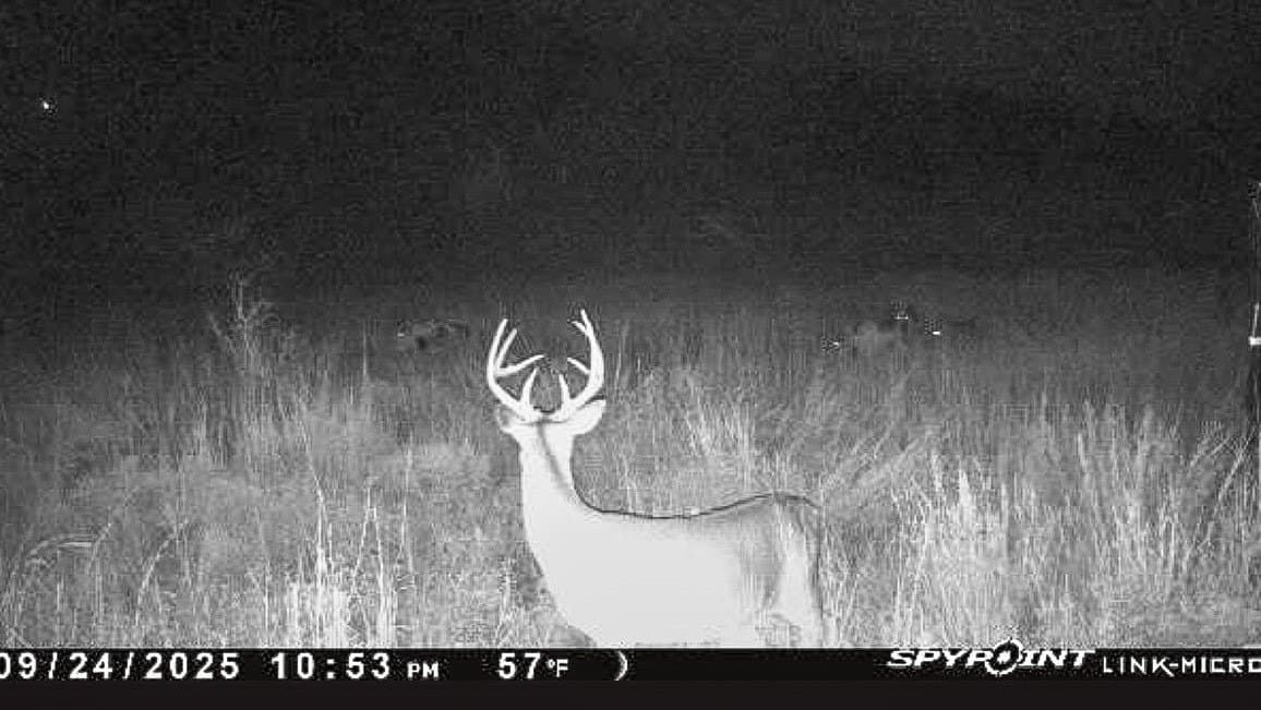80 acres in Brown County - photo 26