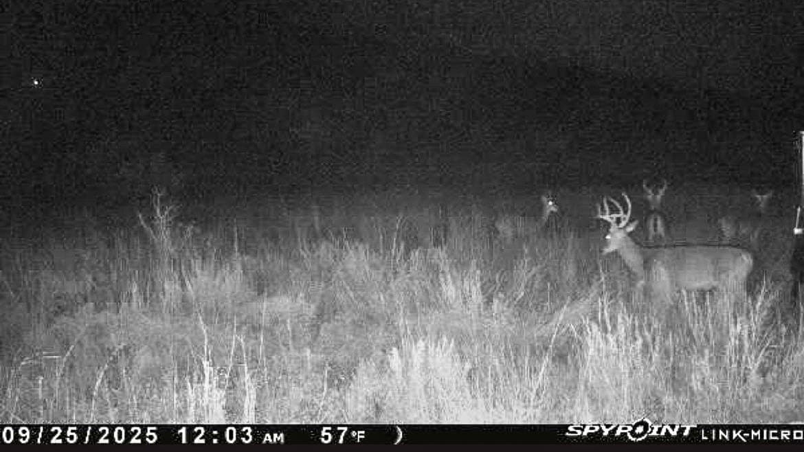 80 acres in Brown County - photo 23