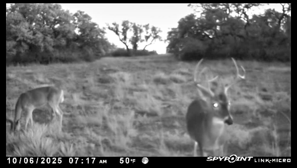 80 acres in Brown County - photo 21