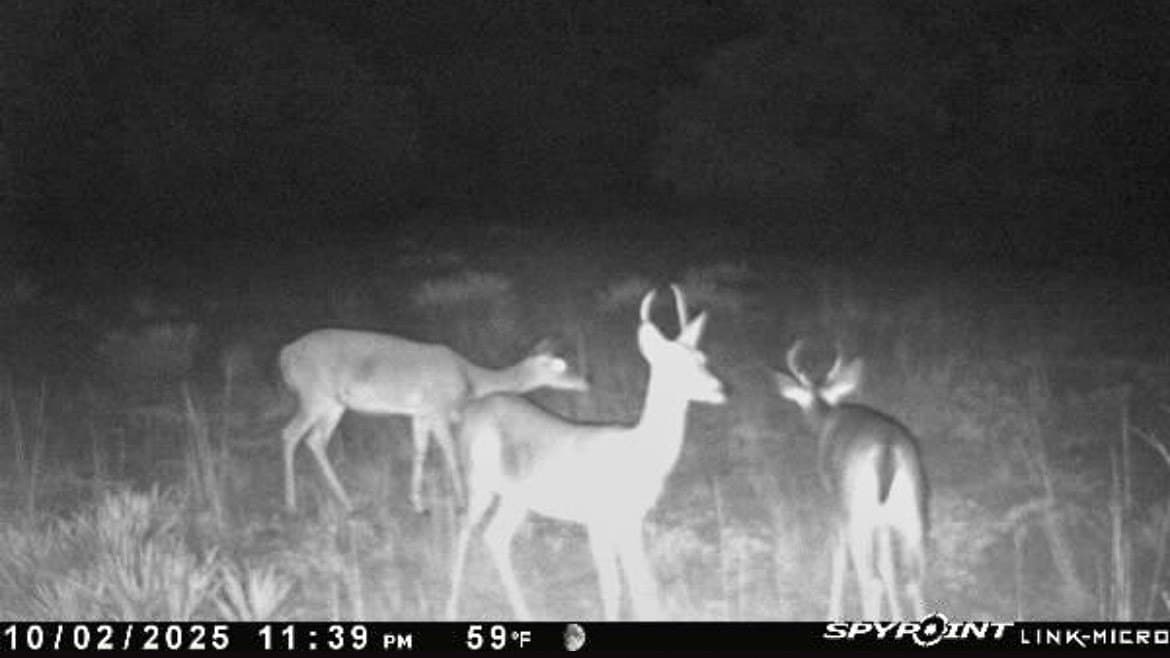 80 acres in Brown County - photo 27
