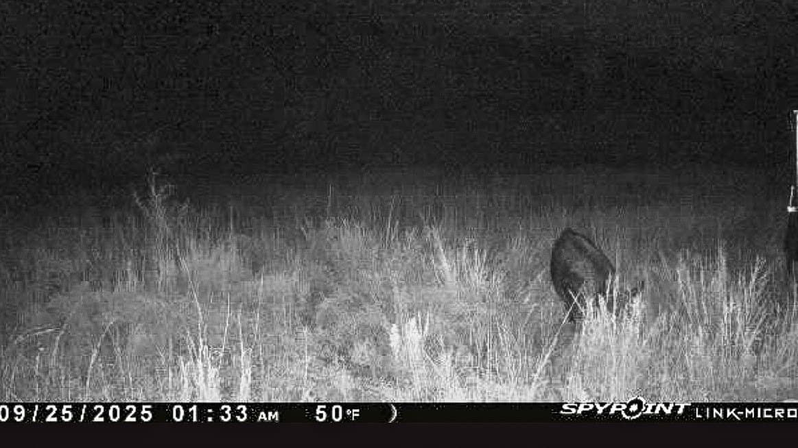 80 acres in Brown County - photo 24