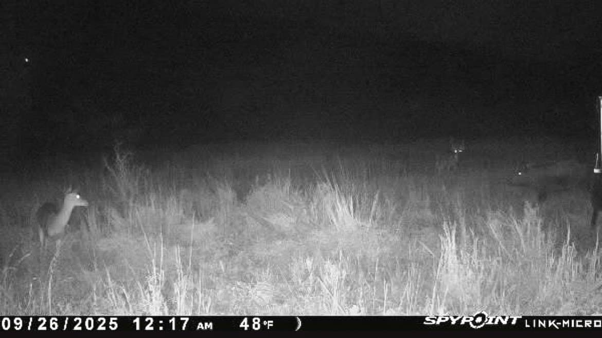 80 acres in Brown County - photo 22