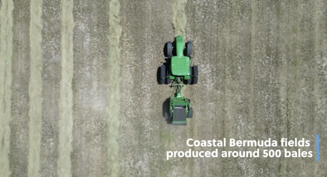 201.49 acres in McCulloch County gallery image 2