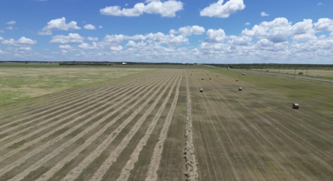 201.49 acres in McCulloch County gallery image 3