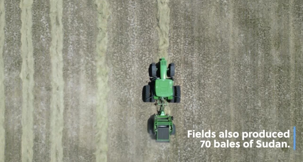 201.49 acres in McCulloch County gallery image 4