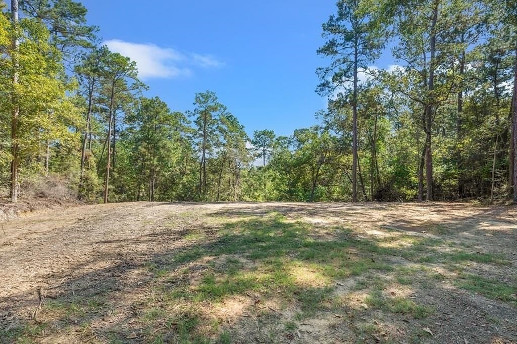 1 acres in Texas County - photo 8