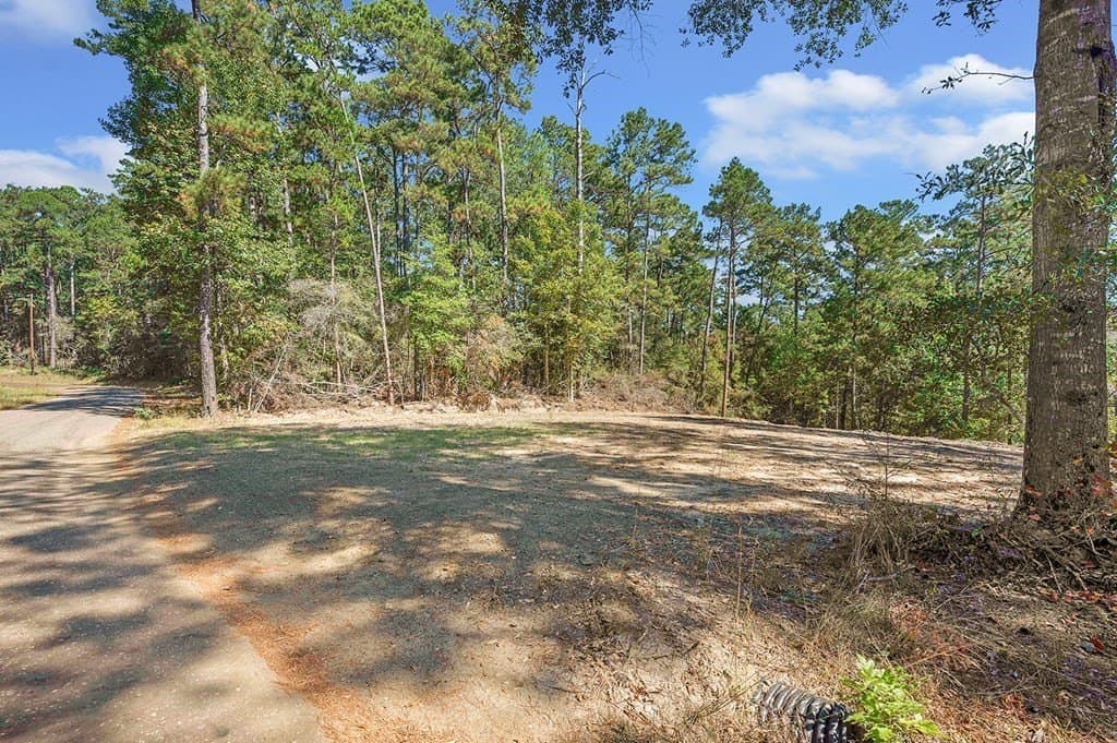 1 acres in Texas County - photo 9