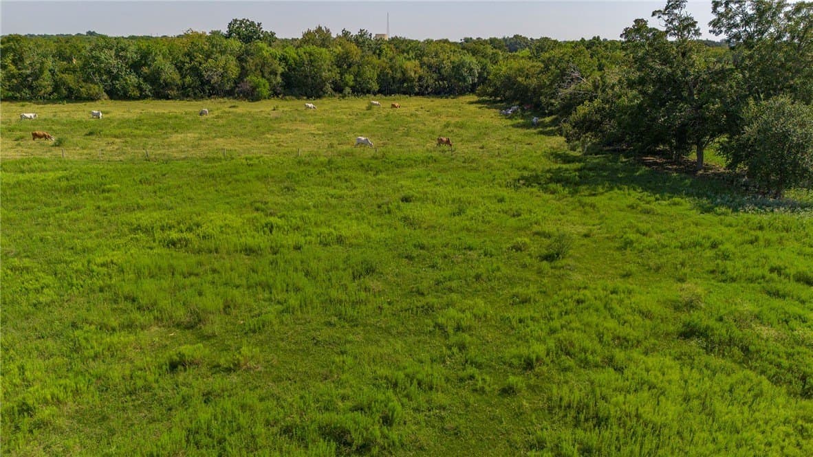 143 acres in Victoria County - photo 13