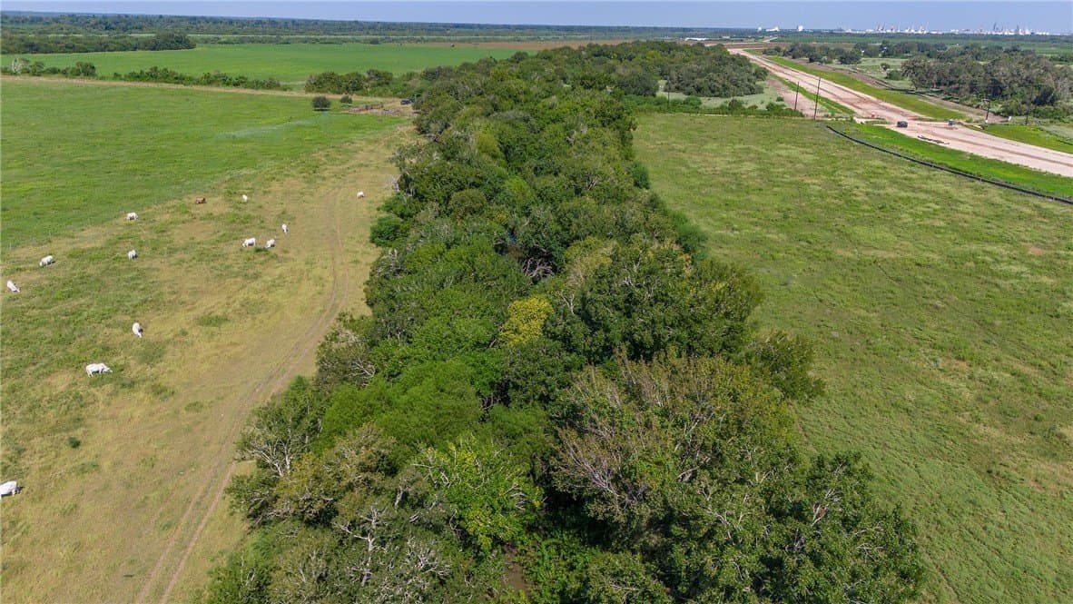 143 acres in Victoria County - photo 16