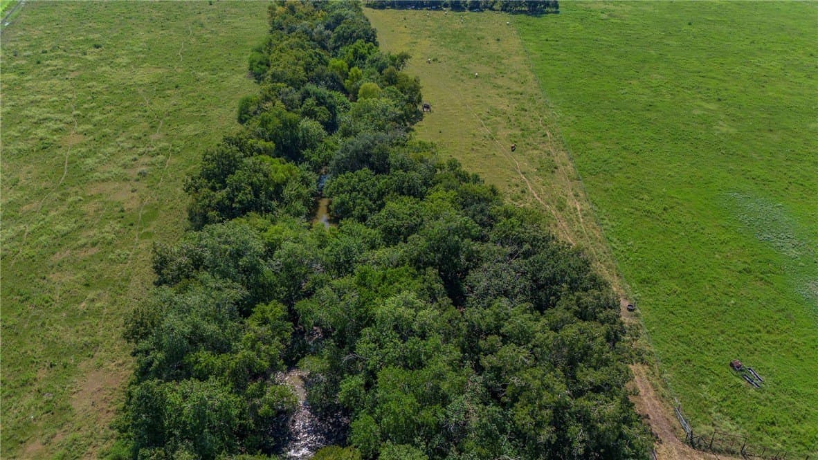 143 acres in Victoria County - photo 19
