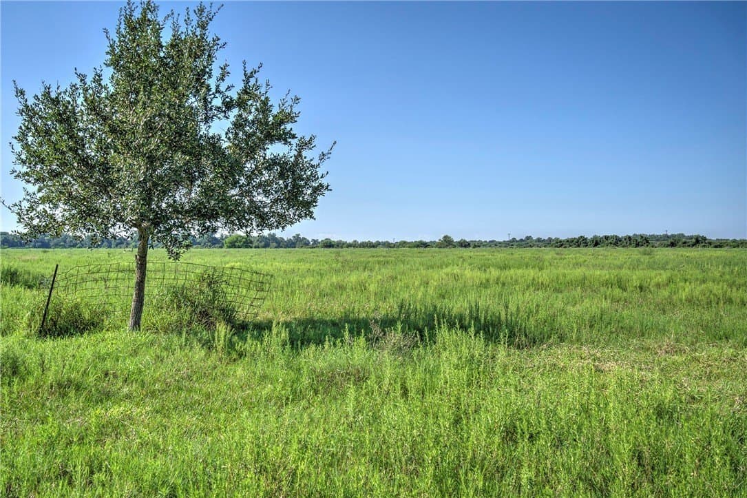 143 acres in Victoria County - photo 26