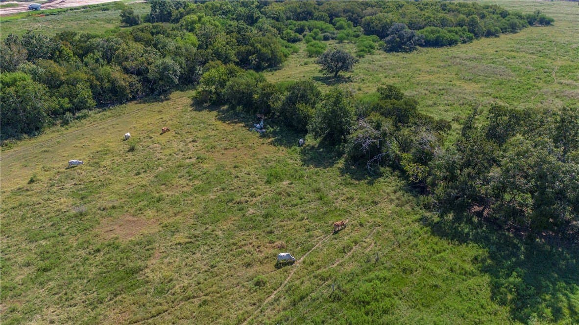 143 acres in Victoria County - photo 15