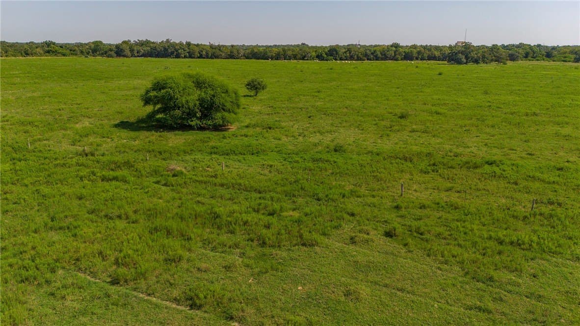 143 acres in Victoria County - photo 12