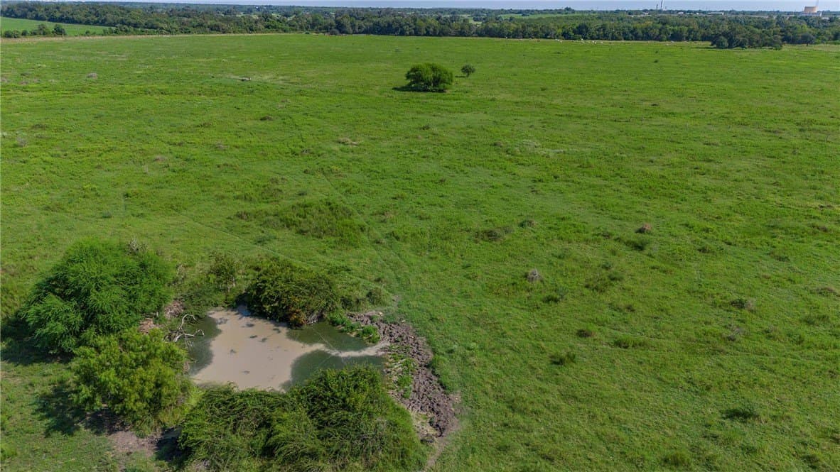 143 acres in Victoria County - photo 11