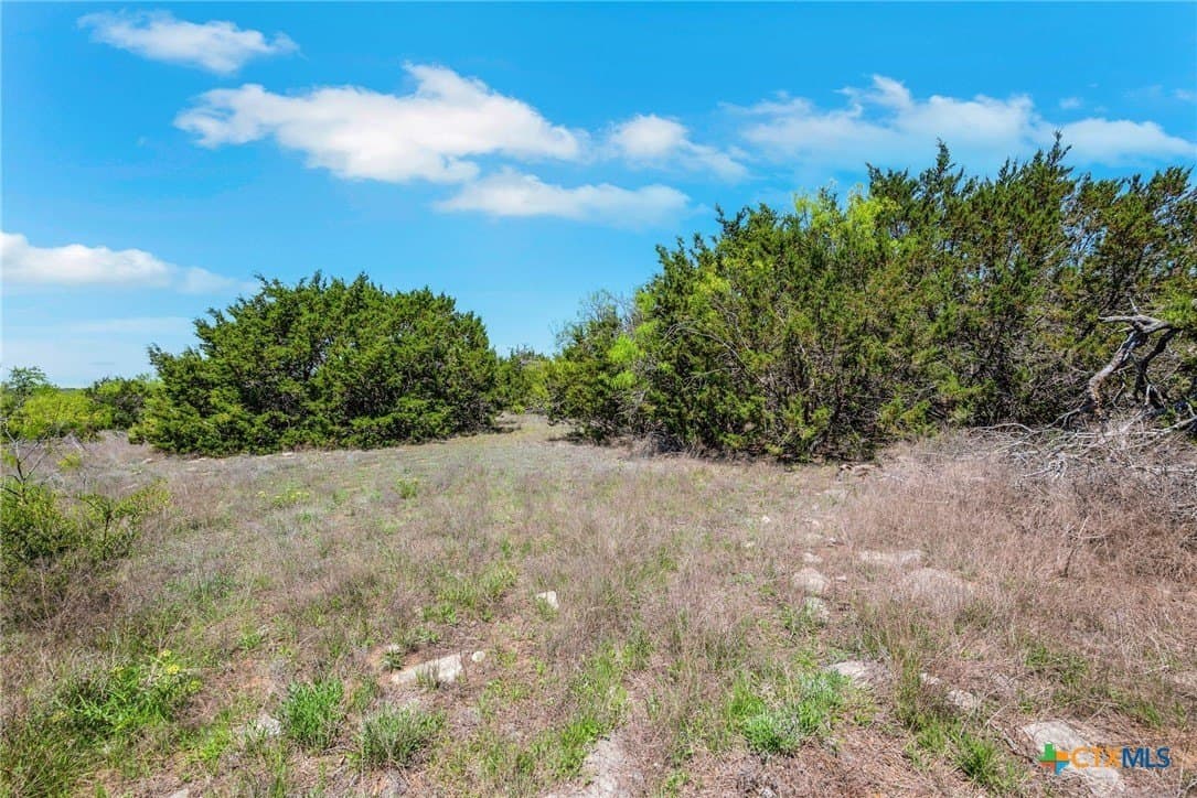 10.01 acres in Hamilton County - photo 38