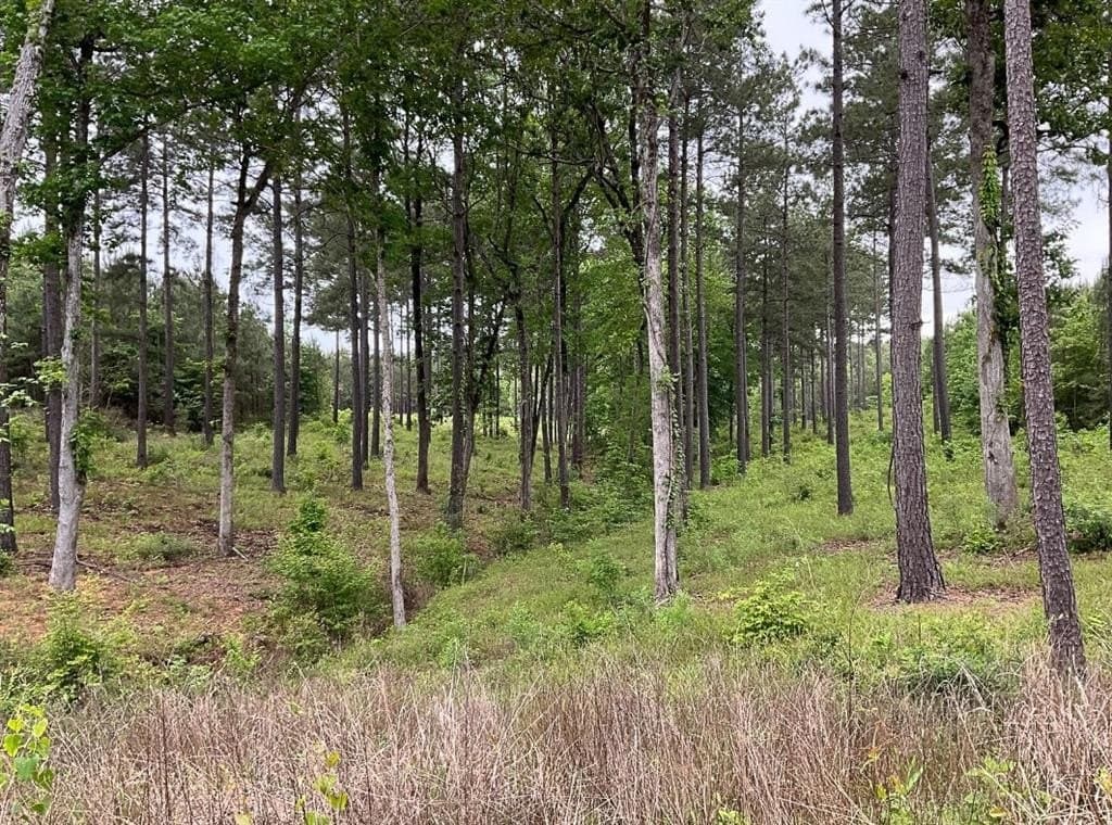 121 acres in Shelby County featured view
