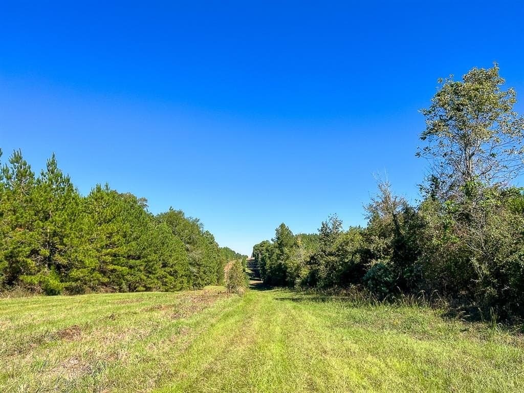 121 acres in Shelby County