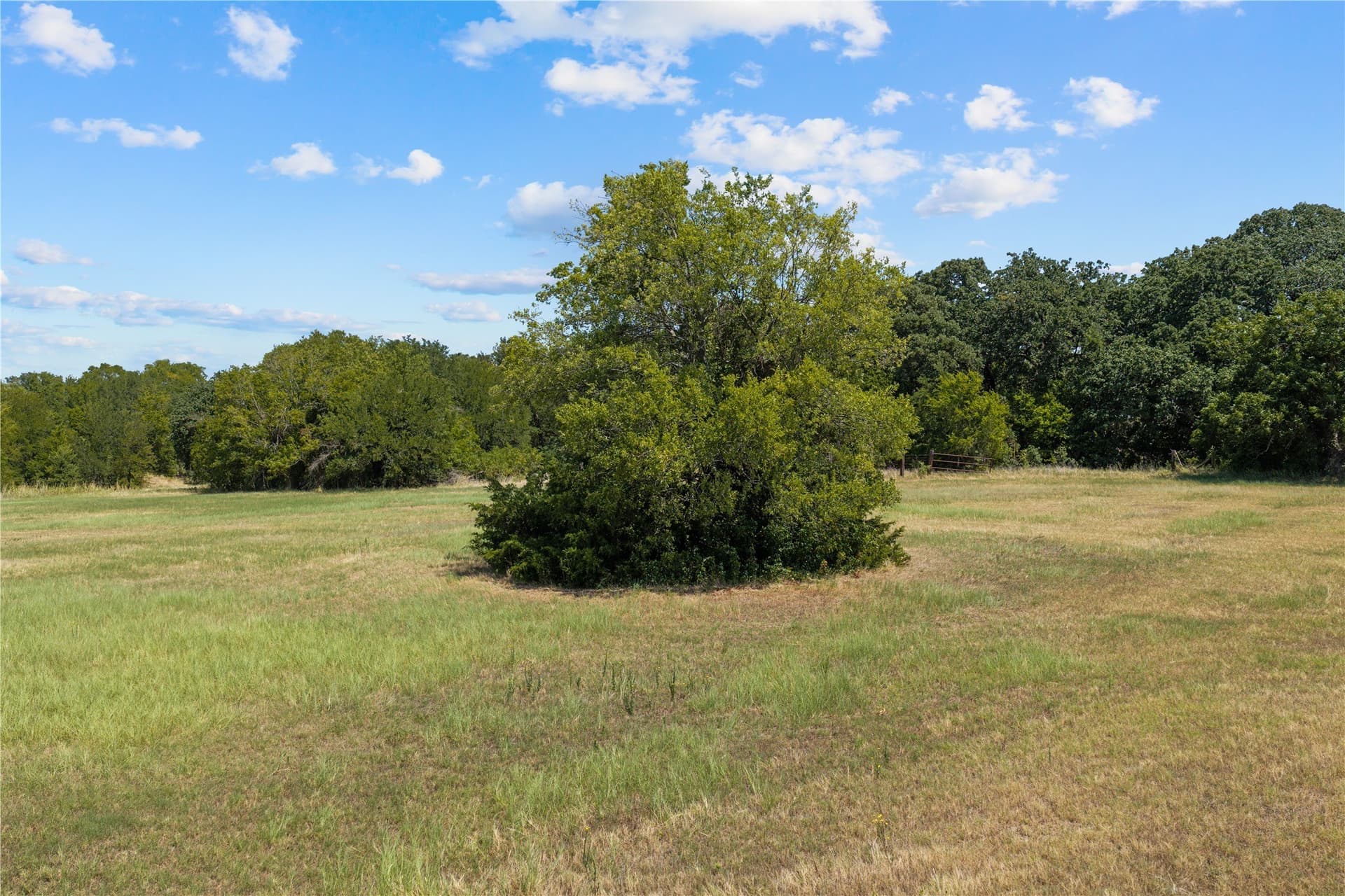 47.64 acres in McLennan County - photo 37