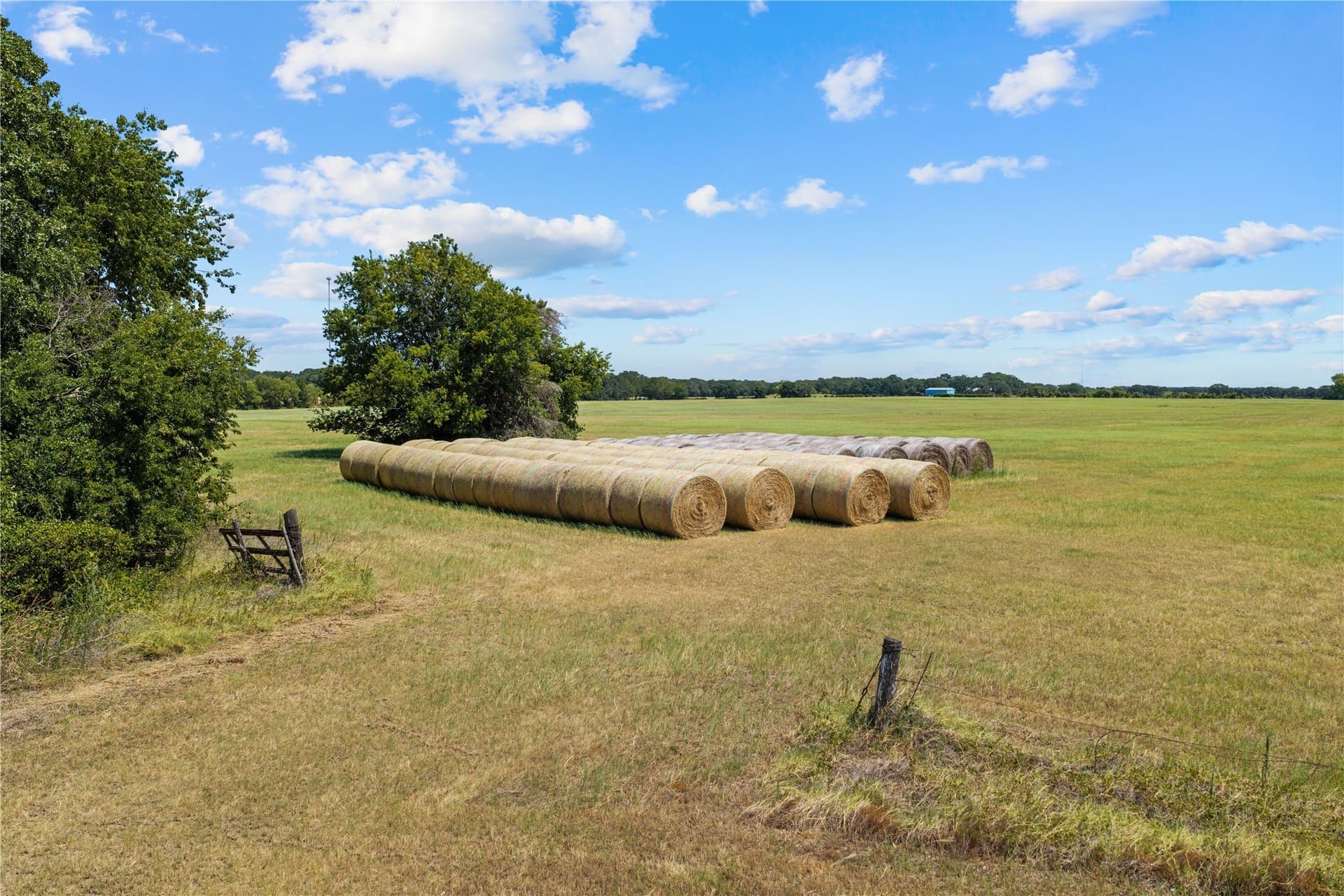 47.64 acres in McLennan County - photo 21