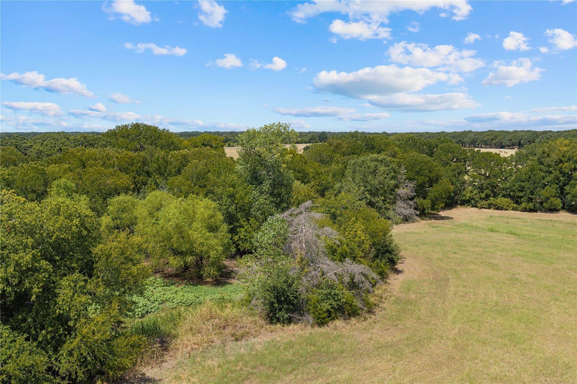 47.64 acres in McLennan County - photo 26