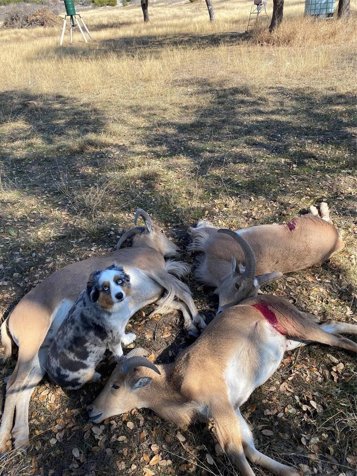 64.8 acres in Bosque County - photo 6