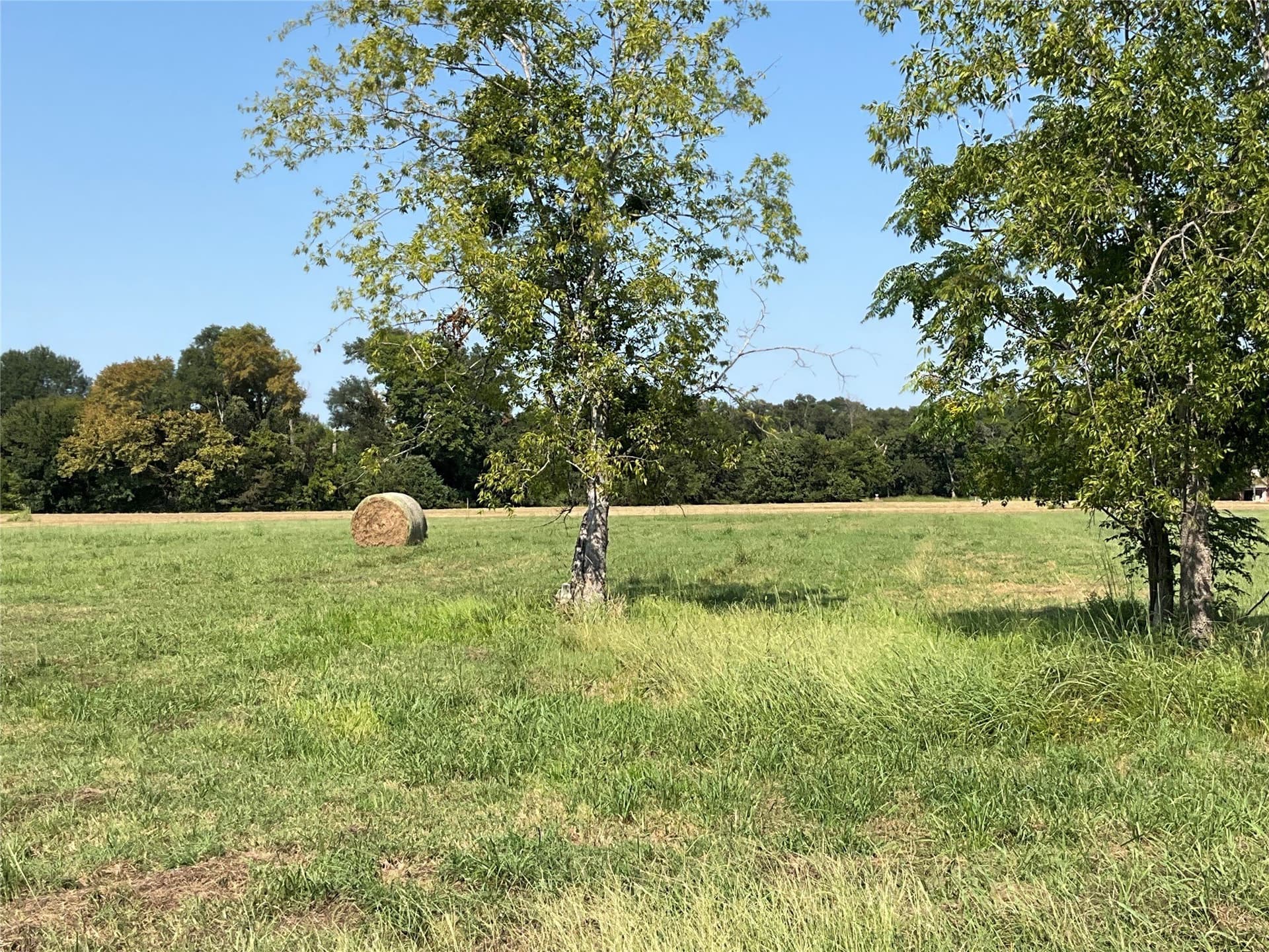 1.02 acres in Navarro County gallery image 2