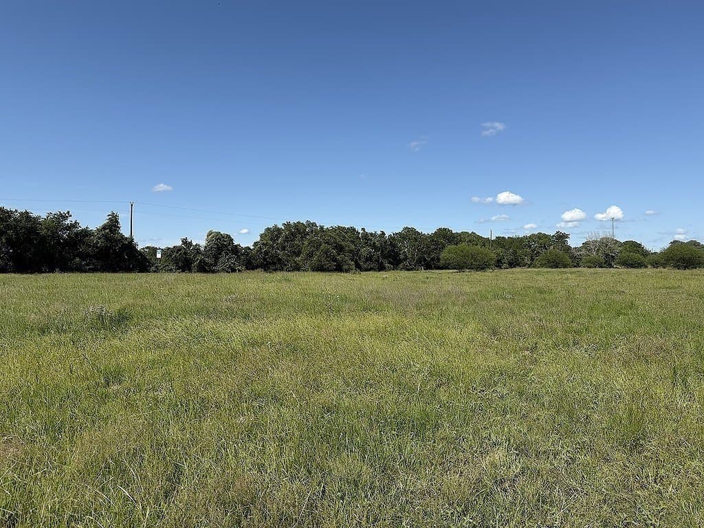 21.62 acres in Colorado County - photo 8