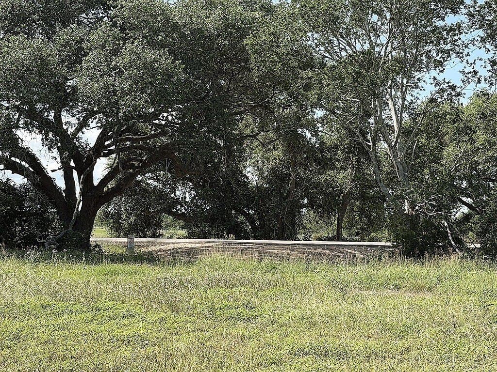 21.62 acres in Colorado County