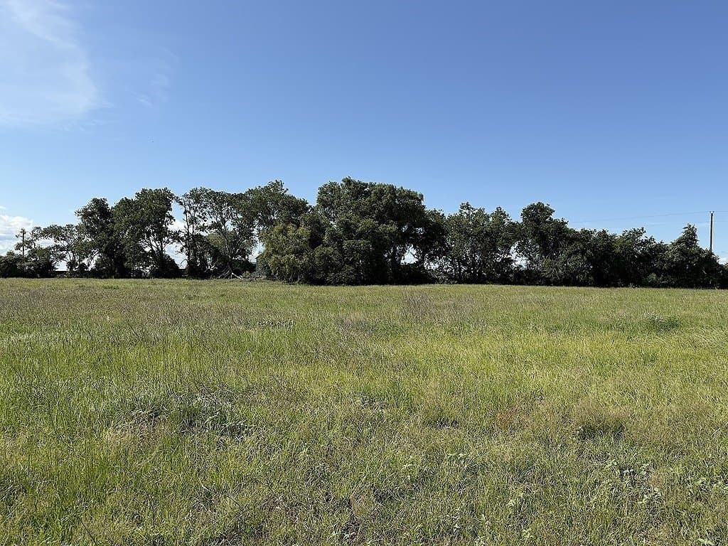 21.62 acres in Colorado County - photo 5