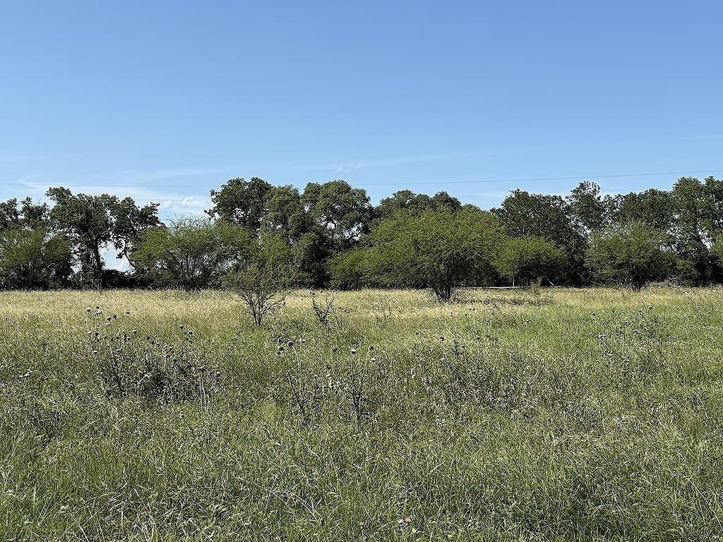 21.62 acres in Colorado County - photo 7