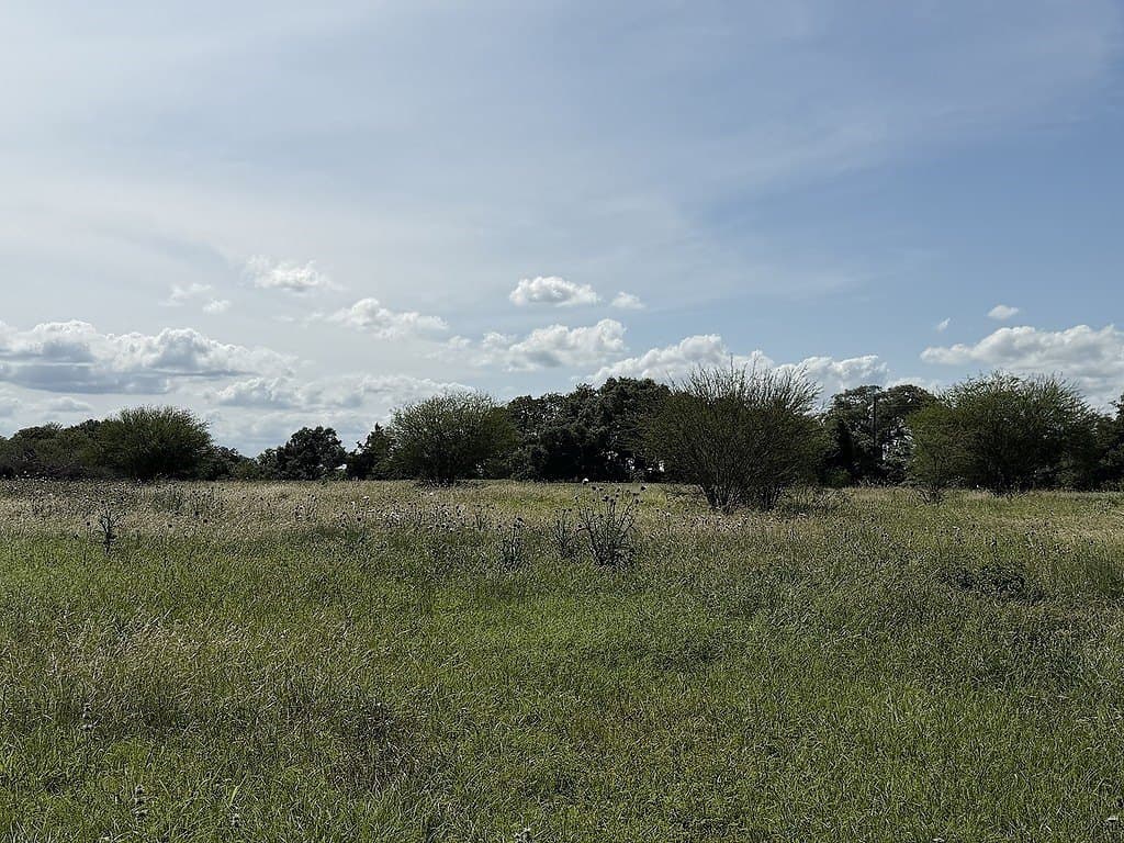 21.62 acres in Colorado County - photo 9