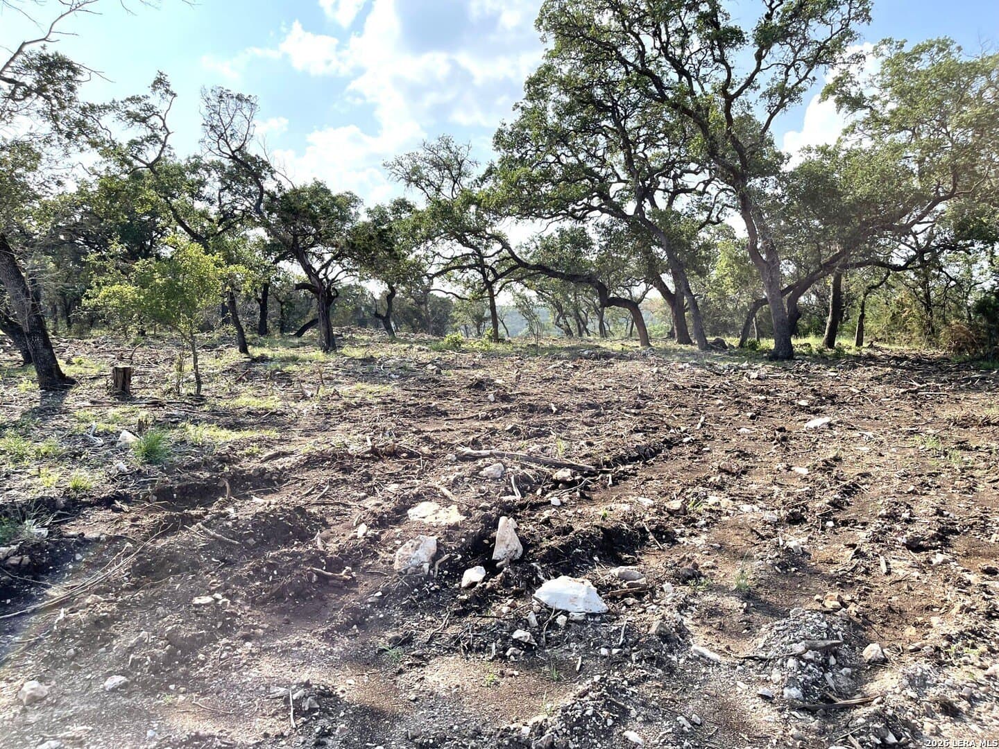 1 acres in Comal County gallery image 2