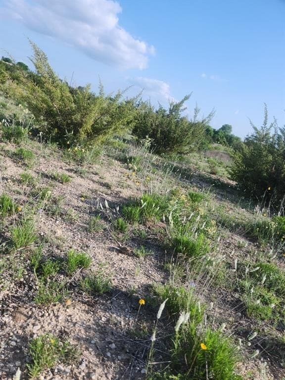 10 acres in Erath County gallery image 2