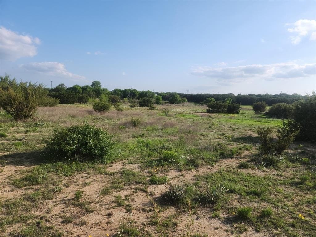 10 acres in Erath County gallery image 3