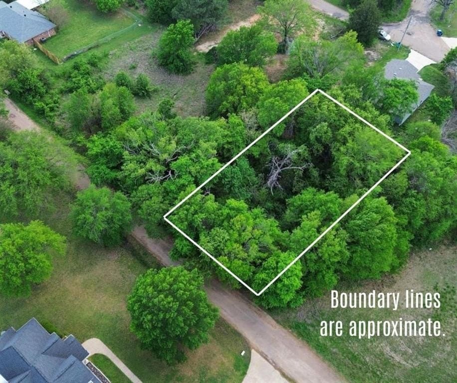 0.15 acres in Henderson County gallery image 2