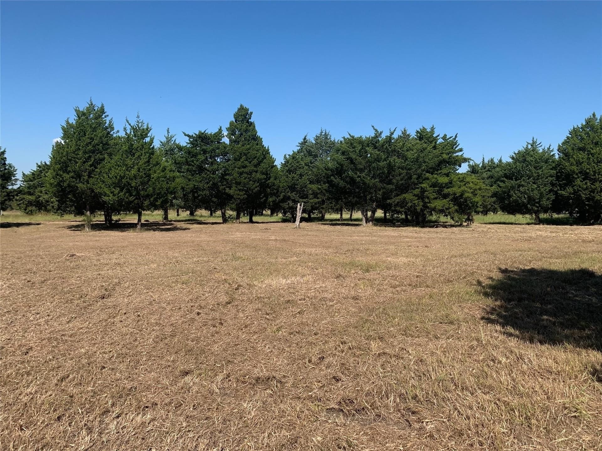 12.38 acres in Hunt County - photo 37