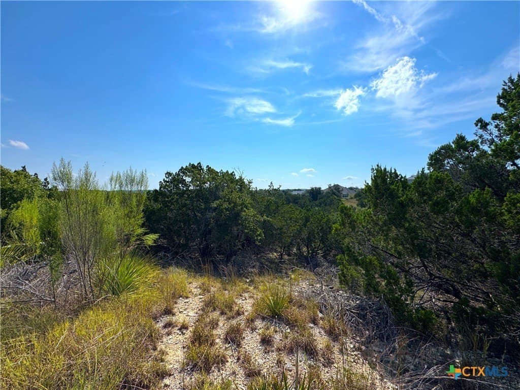 1.82 acres in Comal County - photo 13