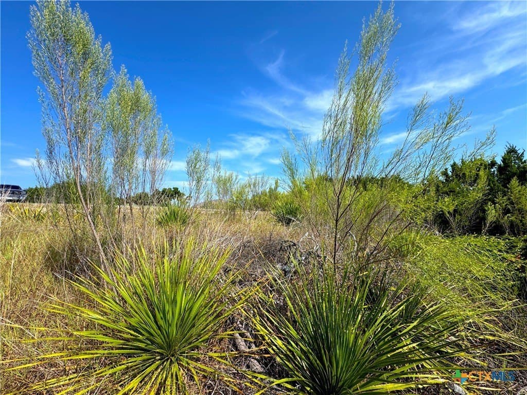 1.82 acres in Comal County - photo 12