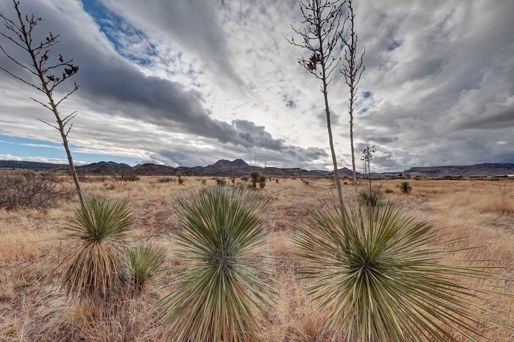 92 acres in Brewster County - photo 15