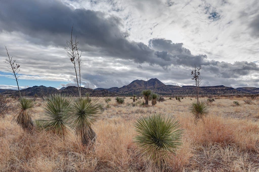 92 acres in Brewster County - photo 12