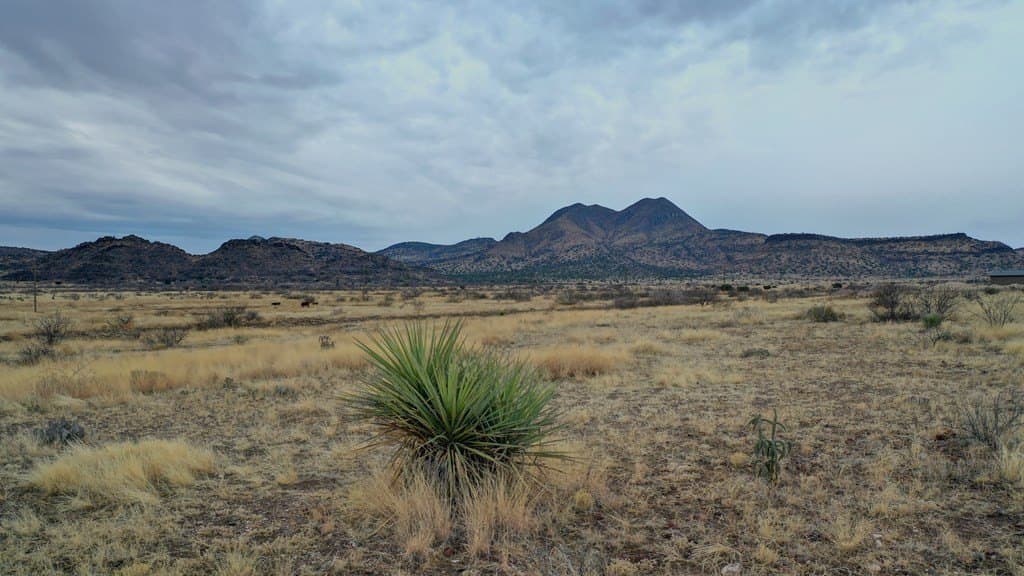 92 acres in Brewster County gallery image 4